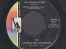 UNRELATED SEGMENTS   IT'S GONNA RAIN / WHERE YOU GONNA GO   Classic Garage Punk