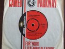 TERRY KNIGHT AND THE PACK I ( WHO HAVE NOTHING ) CAMEO PARKWAY UK UNPLAYED N/M
