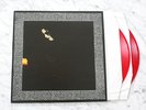XASTHUR  nocturnal poisoning   DLP red vinyl  lim.250   first press   RAR