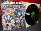 BIG SLEEP BLUEBELL WOOD 1971 MINT TOP RARE PROGRESSIVE ORIGINAL