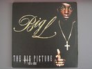 BIG L - The Big Picture 2LP 2000_DITC, Sadat X, Guru, AG, OC, Fat Joe, Tupac