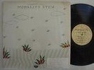 MODALITY STEW S/T LP PRIVATE ACID FOLK PSYCH IN SHRINK