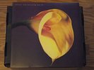 THE SWANS vinyl LP 1989 THE BURNING WORLD God Damn The Sun SAVED