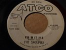 THE GROUPIES ATCO 45-6393 Promo PRIMITIVE / HOG  -RARE GARAGE -Listen