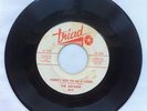 Northern Soul 45 THE ARCADES There's Got to Be a Loser TRIAD * PLAYS GREAT NR