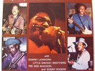 MOJO BUFORD'S Chicago Blues Summit RARE ORIGINAL PRESS Mr. Blues Records