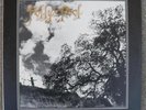 FOLLY'S POOL LP 1977 RARE PRIVATE PRESS CENTURY PROG PSYCH ACID ARCHIVES