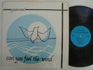 GREENWOOD CAN YOU FEEL THE WIND LP RARE PRIVATE PRESS XIAN FOLK SHRINK