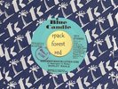 SHIRLEY WAHLS - Remember Martin Luther King  - BLUE CANDLE - 7