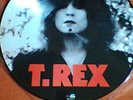T.Rex  LP Picture LP 