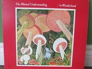 The Mutual Understanding In Wonderland Psych Pop LP Rare Canada