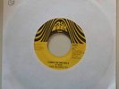 rare soul funk 45 BLOWFLYS - Funky in the hole / Funky DASH Clarence Reid *HEAR*