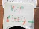 POP RIVETS - Greatest Hits - UK Punk LP  - 100% Orig. - M- and 
