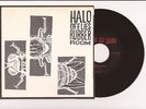 HALO OF FLIES Rubber Room 7