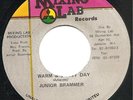 Junior Brammer - Warm & Sunny Day - Mixing Lab - Digi Roots