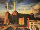 Pink Floyd ?– Animals LP  - UK first pressing
