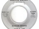RARE UNKNOWN ELECTRO FUNK BOOGIE    TOM E LEE   BURNIN' DESIRE   SILVER ARCH