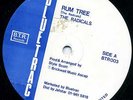 THE RADICALS - RUM TREE   ONE AWAY SOUNDS LISTEN
