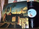 Pink Floyd  