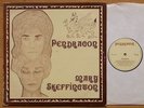 PENDRAGON MARY SKEFFINGTON 1981 PRIVATE PRESS FOLK LP