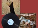 Fleetwood Mac - The Pious Bird of Good Omen.........1969