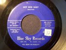 ROCKY DAVIS & THE SKY ROCKETS - RARE FLA ROCKABILLY 