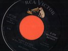 WILD RCA ROCKABILLY / R&B ROCKER - ROY GAINES - SKIPPY IS A SISSY   HEAR