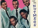 Nutmegs-EP-Herald Doo Wop 45 