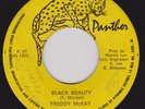 FREDDY McKAY - BLACK BEAUTY on the PANTHER   label  ??