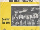 Beat Fellows Belgium 1968 Orgnk garage freakbeat 45 PS Girls are to-day so kind