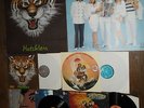 DISCO-FOX LP-Vinyl-Raritäten 30 Stück mit genauer Liste - tw. MIT POSTER