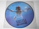 NIRVANA - NEVERMIND picture disc vinyl LP foo fighters