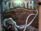 MAMMOTH 1981 self-titled LP rare southern rock private press heavy guitar EXC
