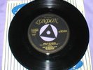 The Flamingos - Would I Be Crying/Just For A Kick  (very rare) 45 rpm