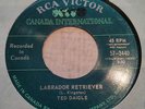 TED DAIGLE LABRADOR RETRIEVER  45 CANADA ROCKABILLY RCA VG+