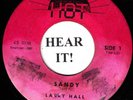 TEEN ROCKABILLY 45 Larry Hall (Hot 1 - PINK LABEL) Sandy/Lovin' Tree