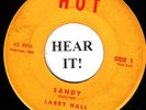 TEEN ROCKABILLY 45 Larry Hall (Hot 1 - YELLOW LABEL) Sandy/Lovin' Tree     VG+