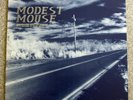 Modest Mouse 'This is a Long Drive' LP - Up Records 1996 - 2xLP - Rare