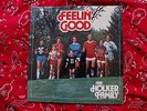 Sealed HOLKER FAMILY BAND Feelin Good Private Press LP xian synth real people