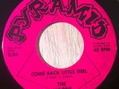 The Avlons 45 PYRAMID Mad Man's Fate/Come Back Little Girl RARE GARAGE LISTEN