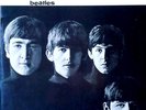 BEATLES - WITH THE BEATLES - MFSL LP # 1-102 -  ORIGINAL MASTER RECORDING