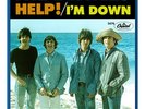 THE BEATLES  HELP   I'M DOWN   ALTERNATE 45 PICTURE SLEEVE