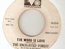 THE ENCHANTED FOREST - THE WORD IS LOVE / IM NOT THAT KIND PROMO FUNK SOUL 45