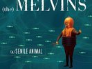 MELVINS A SENILE ANIMAL LP 4x12