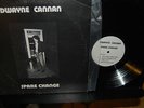 DWAYNE CANNAN Private Loner Folk LP only 200 made RARE  NO RESERVE