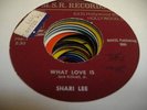 HEAR Soul Funk Unknown? 45 SHARI LEE What love Is on M.S.R.