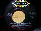 Psych 45 rpm Sounds Of Modification 