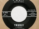 hear: THE ROBINS on Push M- soul R&B 45 Truble/Moving Out