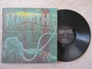 VINTAGE MAMMOTH LP SOUTHERN ROCK LP - RARE
