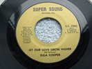 EULA COOPER, USA 45, LET OUR LOVE GROW HIGHER, Styrene 2nd Issue, Northern Soul